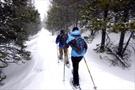 Photo of Denver | Full Day Front Range Snowshoeing Adventure in the Rocky Mountains